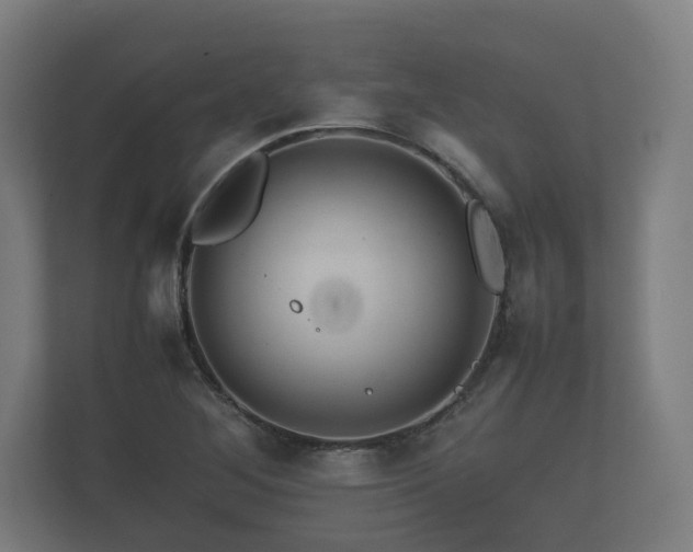 X0000112371268200908201455