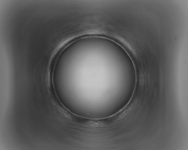 X0000112371270200908201455