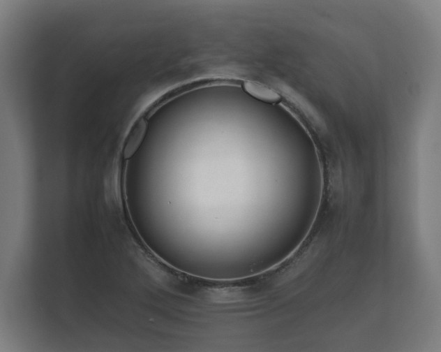 X0000112371272200908201455