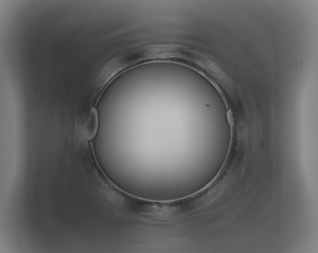 X0000112371273200908201455