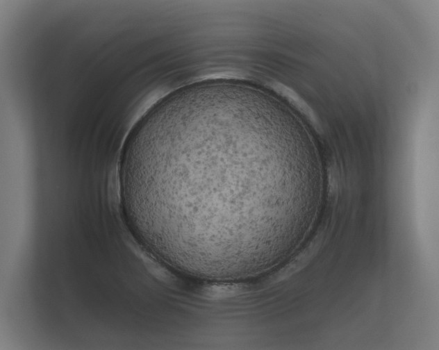 X0000112371274200908201455