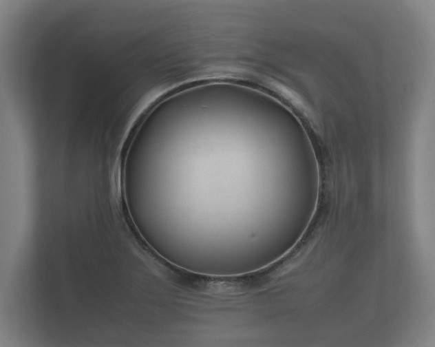 X0000112371275200908201455