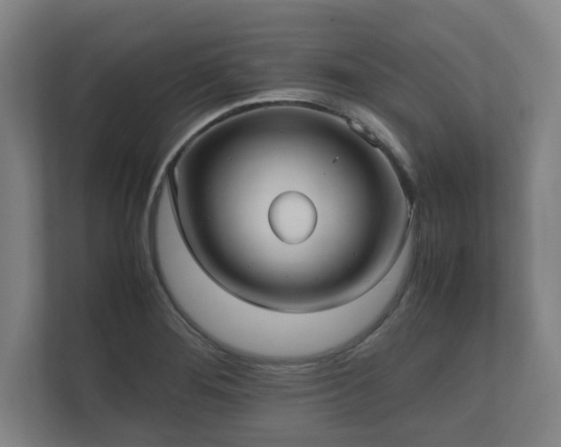 X0000112371276200908201455