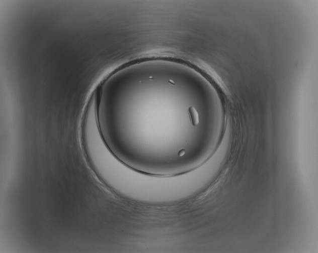 X0000112371277200908201455