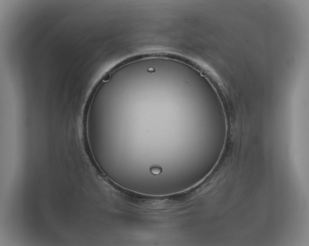 X0000112371279200908201455