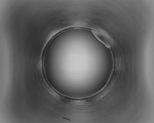 X0000112371280200908201455