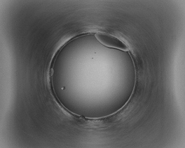 X0000112371285200908201455