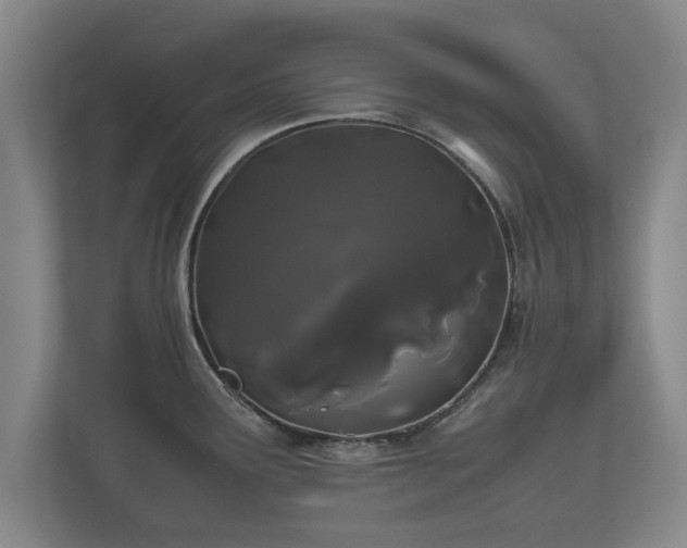 X0000112371291200908201455