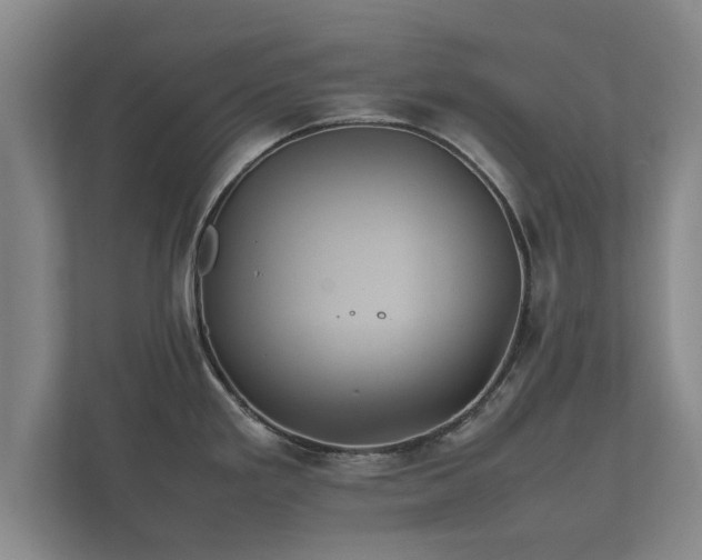 X0000112371293200908201455