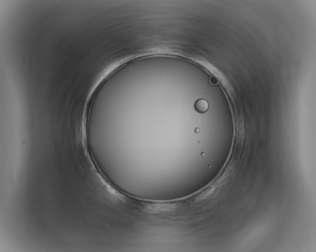 X0000112371294200908201455