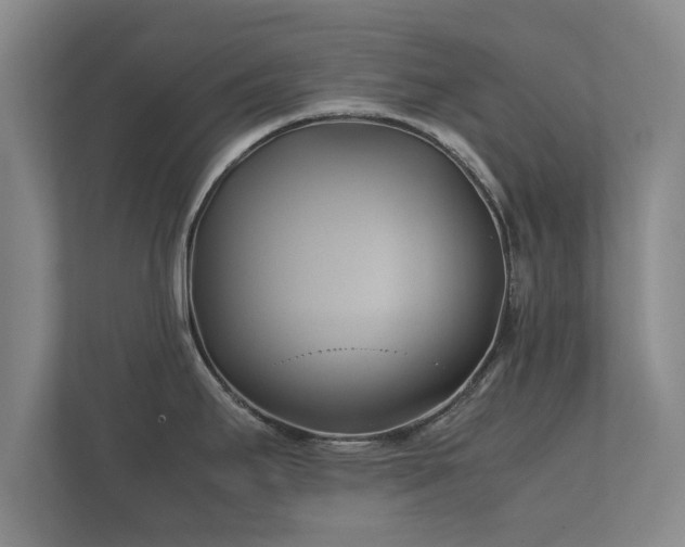 X0000112371295200908201455