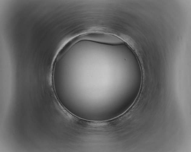 X0000112371296200908201455