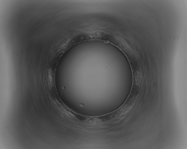 X0000112371298200908201454