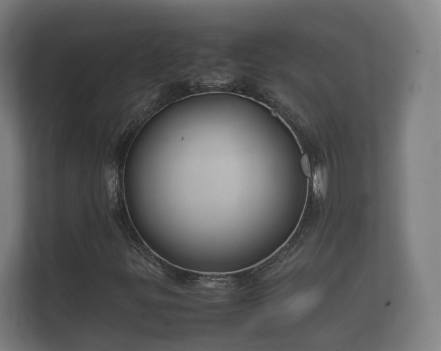 X0000112371299200908201454