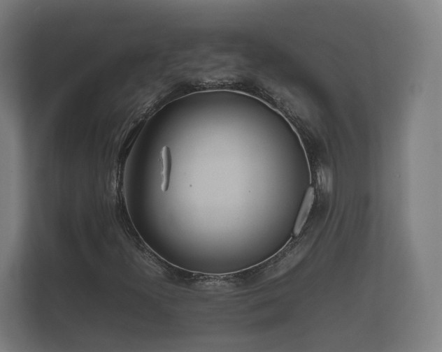 X0000112371300200908201454