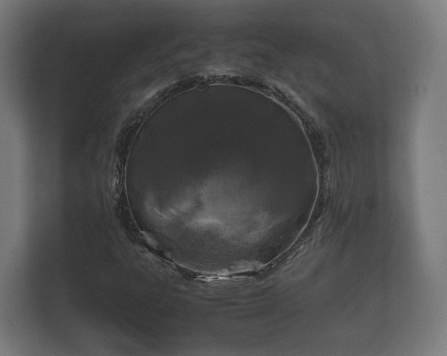 X0000112371303200908201454