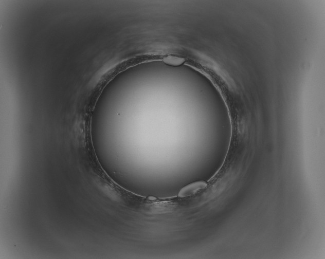 X0000112371304200908201454