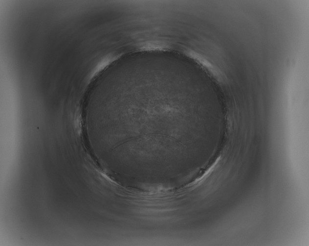 X0000112371306200908201454