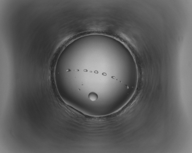 X0000112371307200908201454