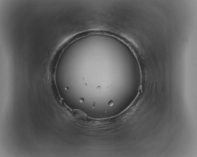 X0000112371311200908201454