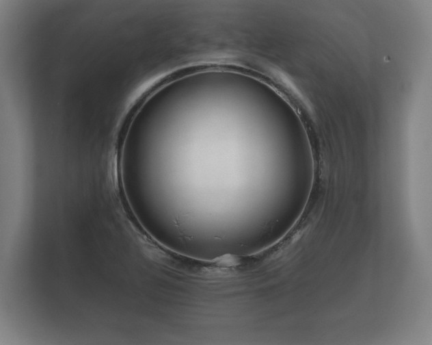 X0000112371320200908201454