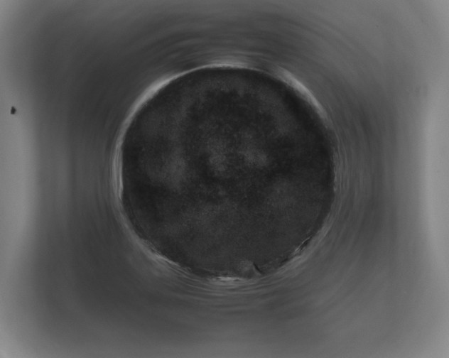 X0000112371323200908201454