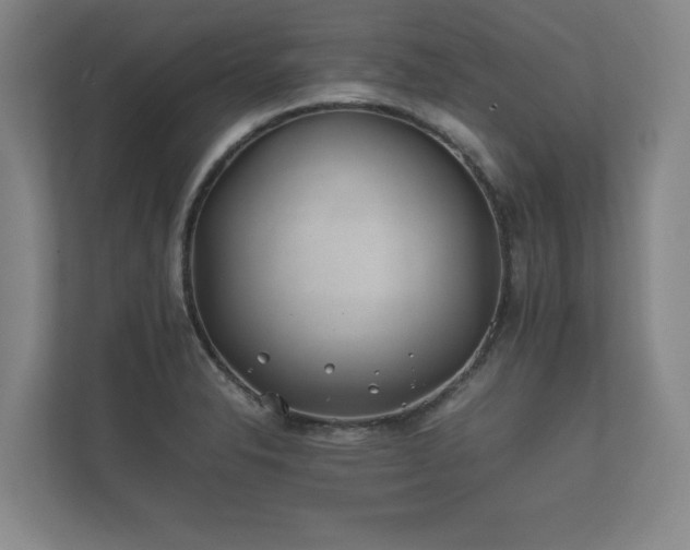 X0000112371326200908201454