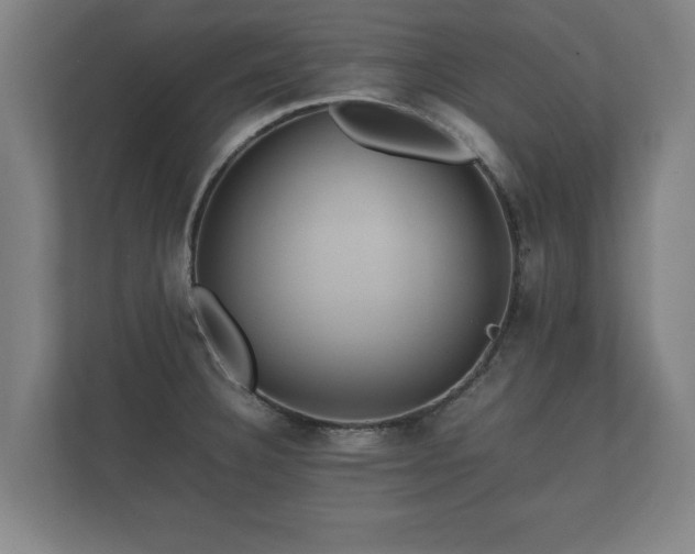 X0000112371332200908201454