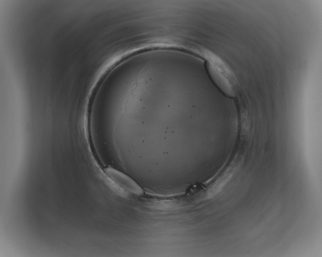 X0000112371334200908201454