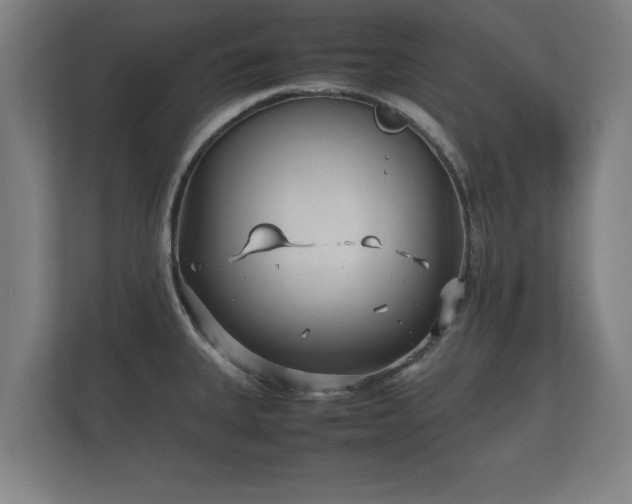 X0000112371335200908201454