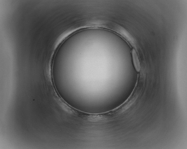 X0000112371336200908201454