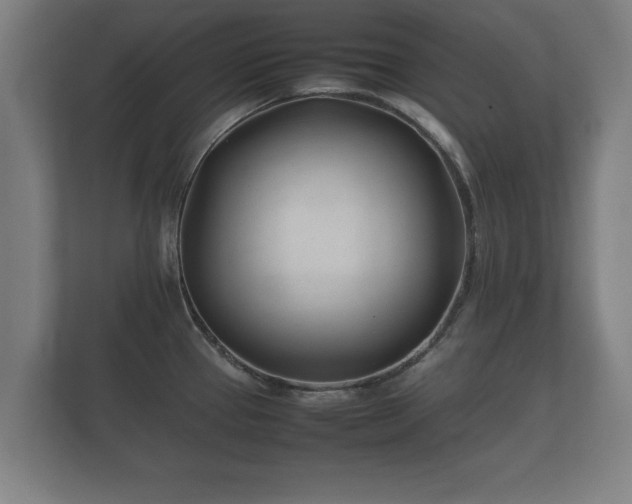 X0000112371337200908201454