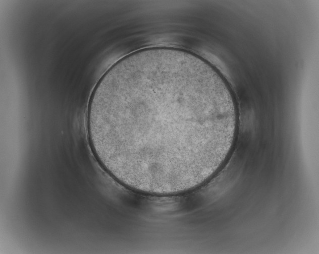 X0000112371338200908201454