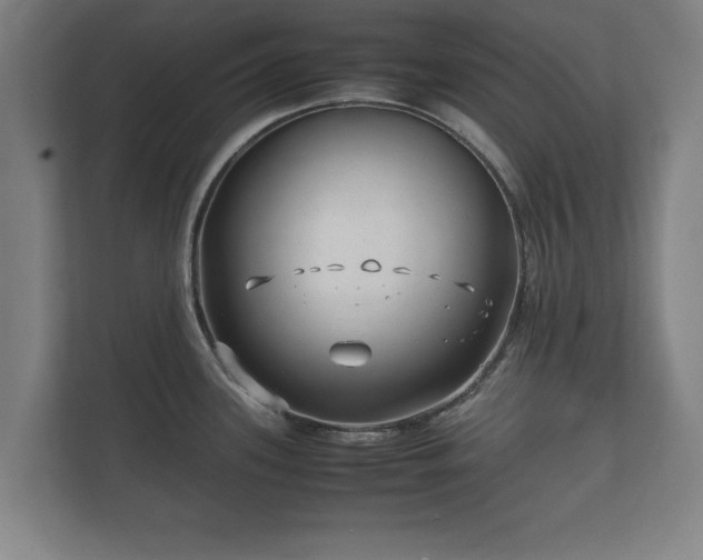 X0000112371339200908201454