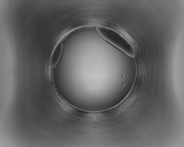 X0000112371340200908201454