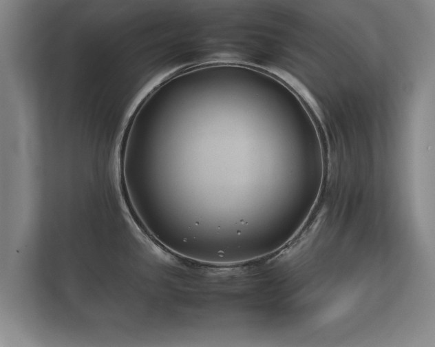 X0000112371341200908201454