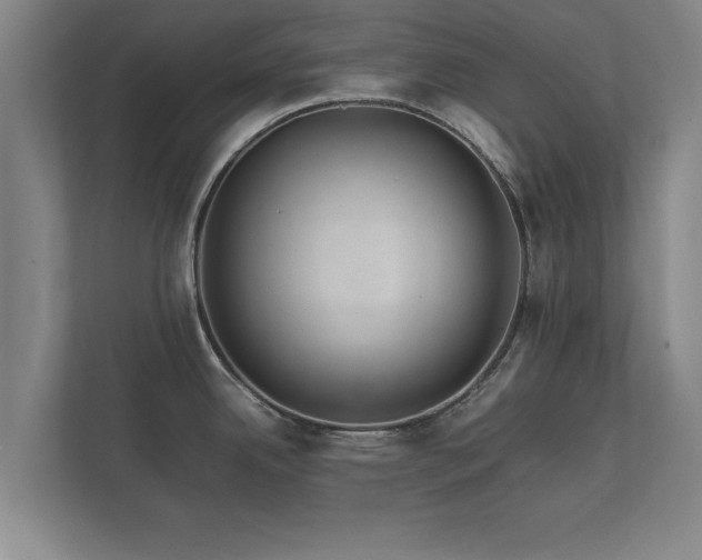 X0000112371342200908201454