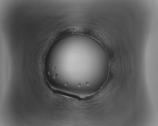 X0000112371345200908201454