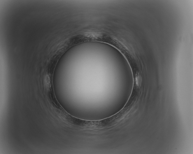 X0000112371347200908201454