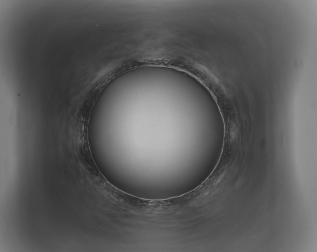 X0000112371350200908201454