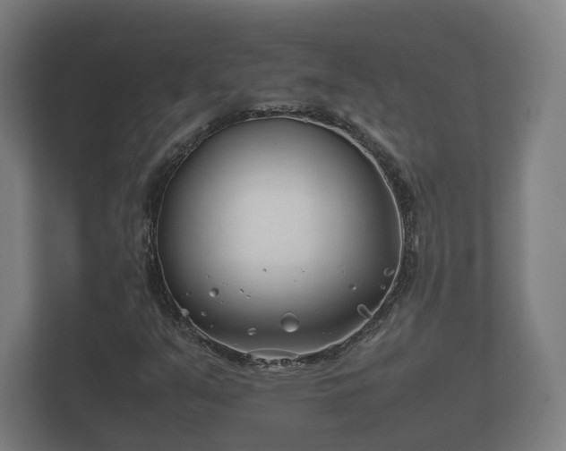 X0000112371351200908201454