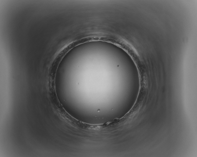 X0000112371352200908201454