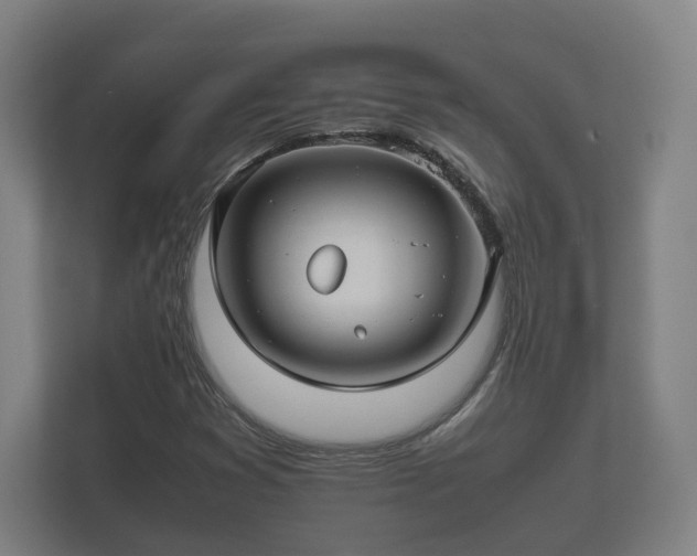 X0000112371353200908201454