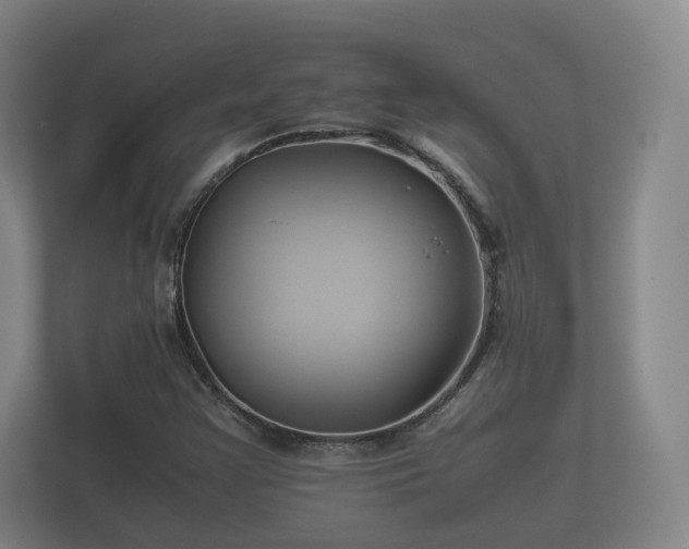 X0000112371355200908201454