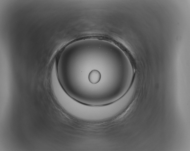 X0000112371357200908201454