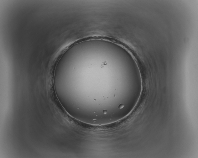 X0000112371359200908201454