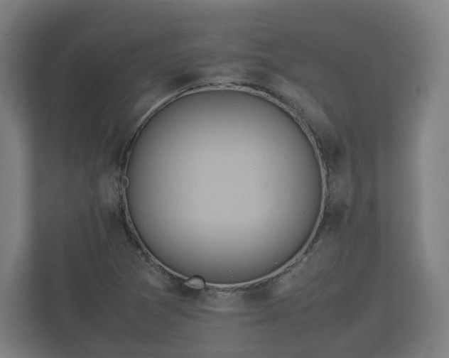 X0000112371361200908201454