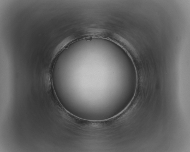 X0000112371362200908201454