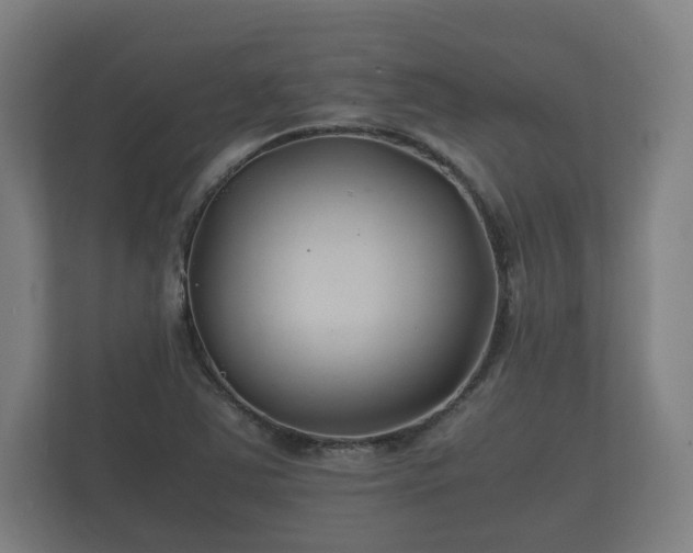 X0000112371363200908201454