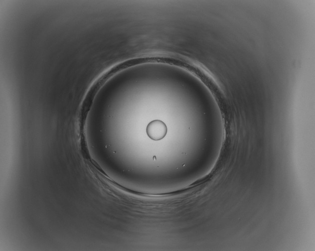 X0000112371364200908201454